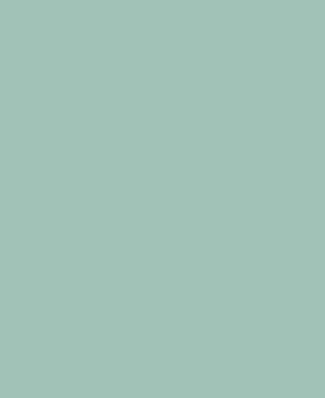 Plain sage green background