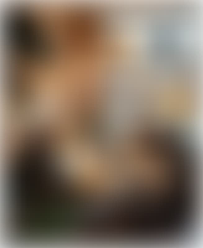 Heavily blurred, warm-toned image with dark and beige patches